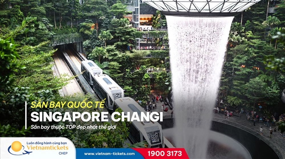 Sân bay Quốc tế Singapore Changi - Sân bay thuộc top đẹp nhất thế giới